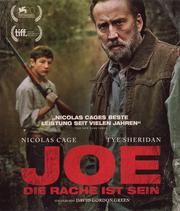 Joe - Die Rache ist sein (Joe)