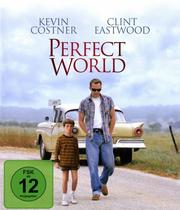 Perfect World (A Perfect World)